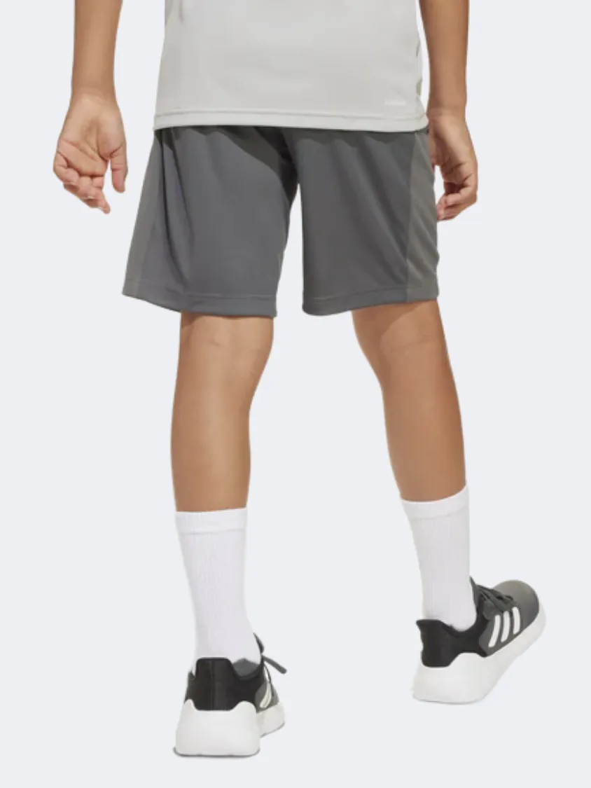 Adidas Train Essentials Kids-Boys Sportswear Short Grey/White
