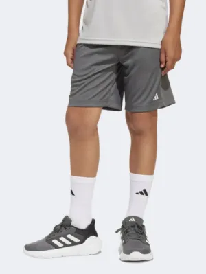Adidas Train Essentials Kids-Boys Sportswear Short Grey/White