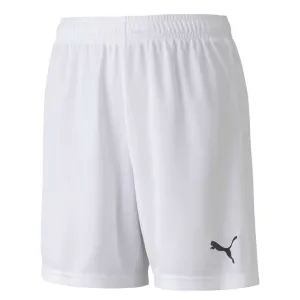 Puma - Kids’ (Junior) TeamGoal 23 Knit Shorts (704263 04)