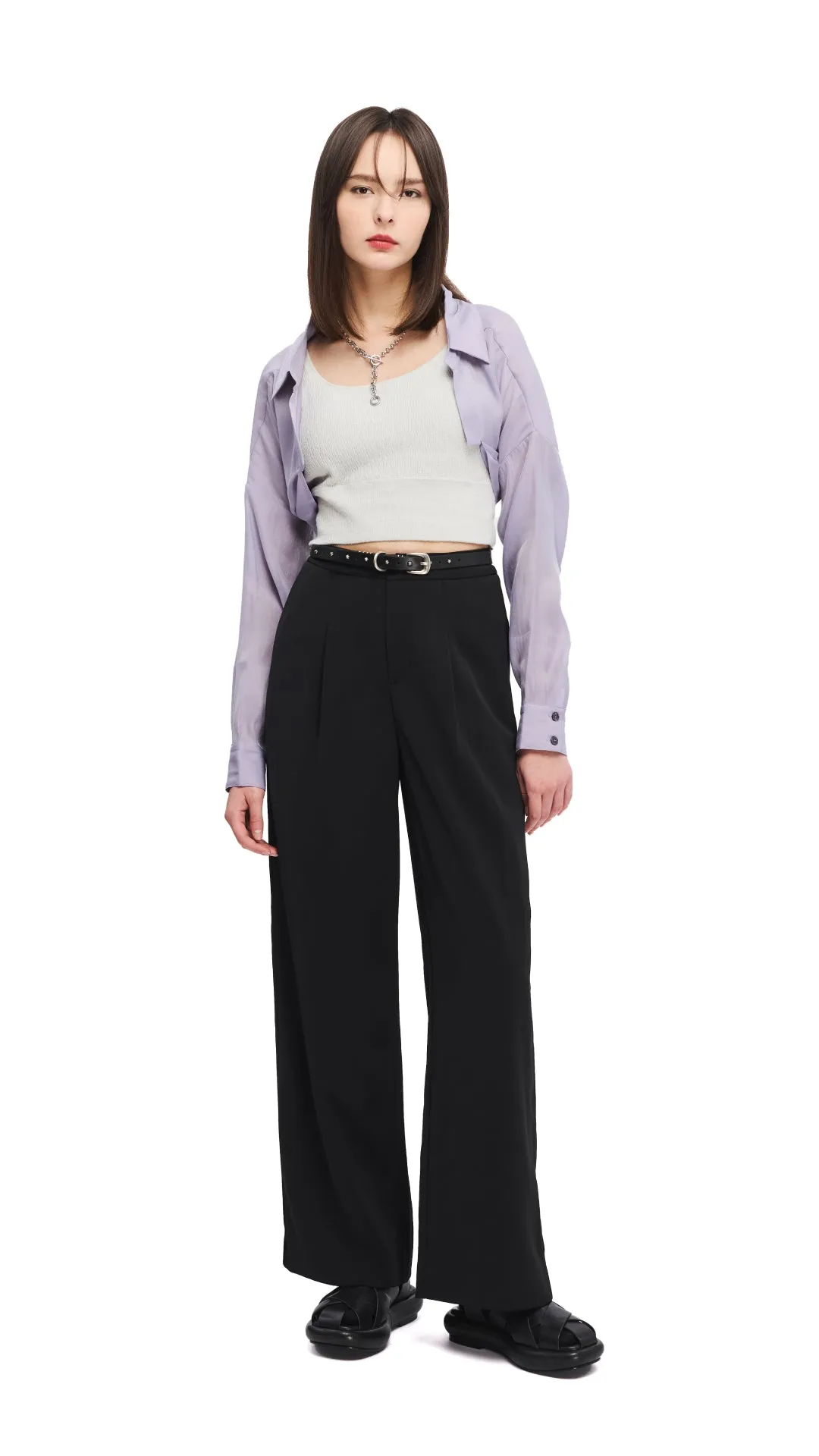 See-Through Crop Shirt