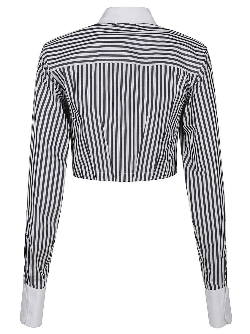 Short Striped Shirt With Classic White Spread Collar